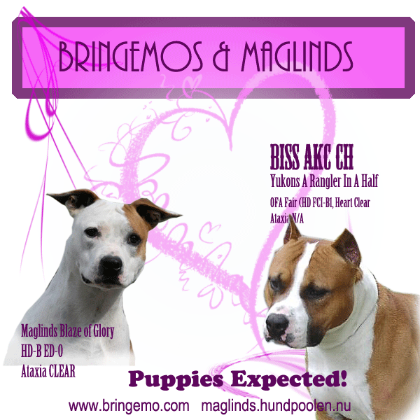 VALPAR VÄNTAS!! I samarbete