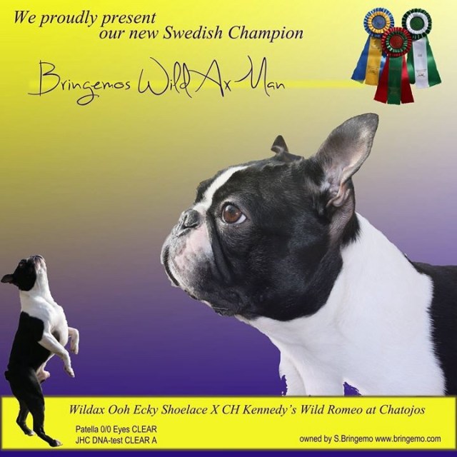 Vår nya CHAMPION!!!! 