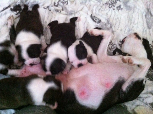 After-work i den lokala baren :-)