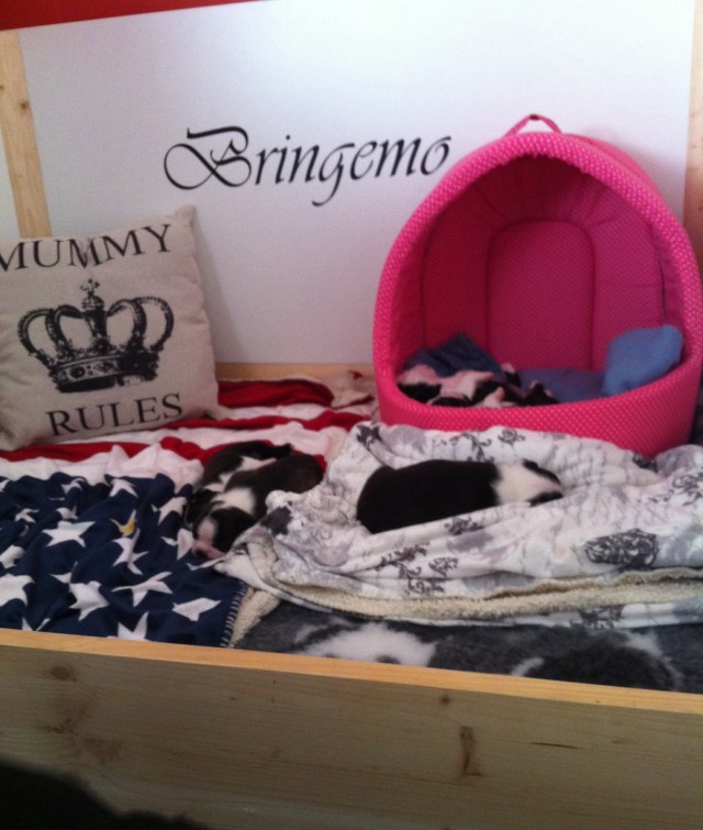 Bäst att vila lite...