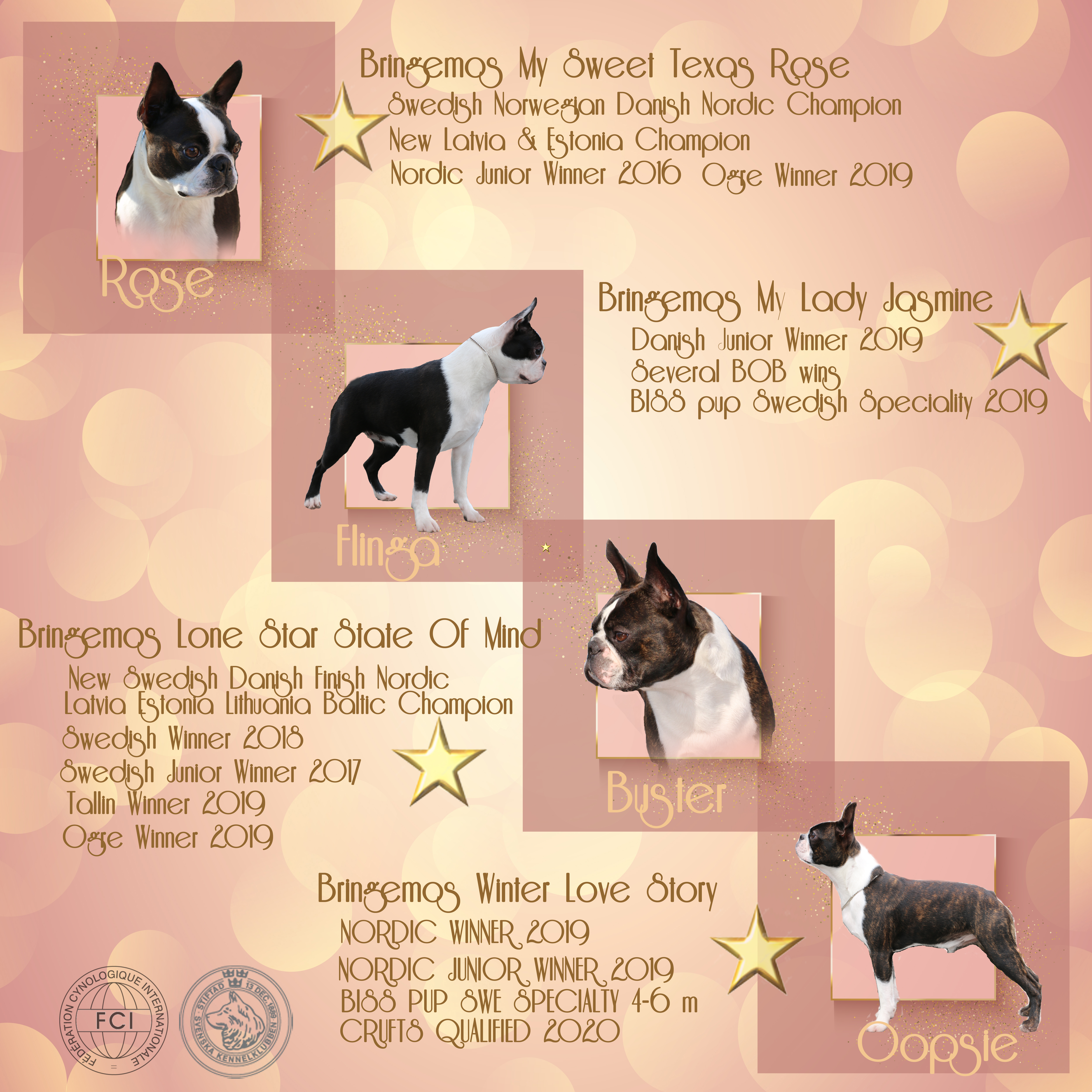 Rose gold bokeh lights background